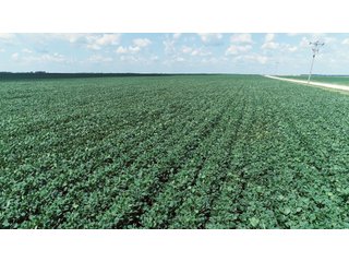 Farmland in Fulton & Marshall Counties, Indiana - LAND AUCTION - 541.3+/- ACRES IN 9 TRACTS IN FULTON & MARSHALL COUNTIES, INDIANA